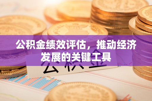 武强公积金绩效评估，推动经济发展的关键工具